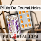 Black Ant Pill new12